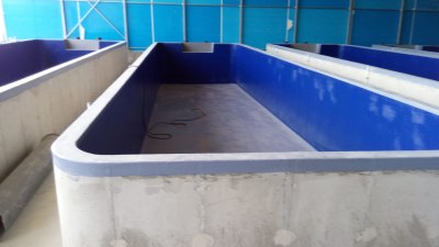 Balık Çiftliği ve Su Yapıları