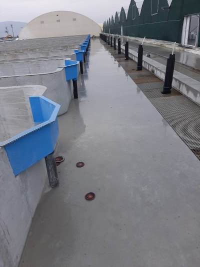 Balık Çiftliği ve Su Yapıları